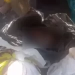 Feto é encontrado dentro de saco de lixo em Camaçari, região metropolitana de Salvador.