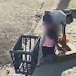VÍDEO - Mulher furta planta acompanhada de criança