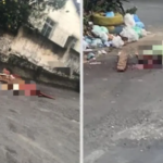 Homem é morto a pedradas no Curuzu, em Salvador
