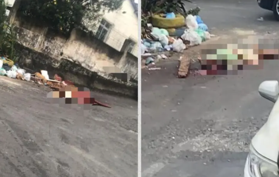 Homem é morto a pedradas no Curuzu, em Salvador