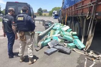 Idoso e filhos são presos com quase 3 toneladas de maconha