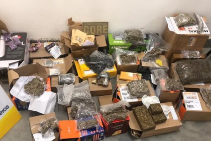 Polícia encontra 11 kg de drogas em embalagens de panetones natalinos na Bahia