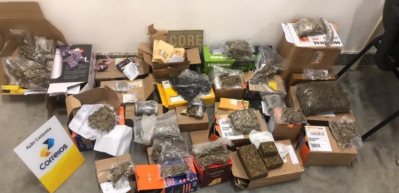 Polícia encontra 11 kg de drogas em embalagens de panetones natalinos na Bahia