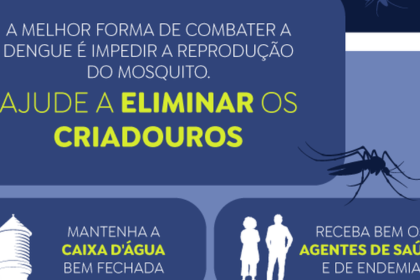 Casos prováveis de dengue se aproximam de 400 mil no país em 2024