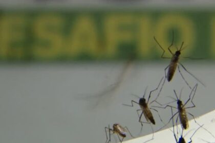 Com epidemia, Rio tem recorde de internações por dengue em janeiro