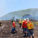 Incêndio no Pantanal está controlado, diz IHP