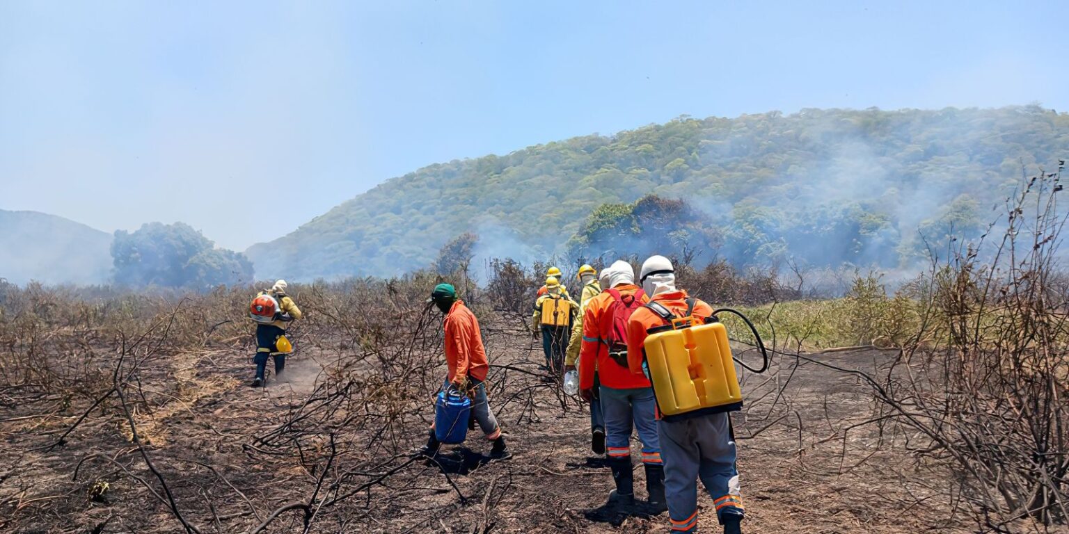 Incêndio no Pantanal está controlado, diz IHP