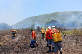 Incêndio no Pantanal está controlado, diz IHP