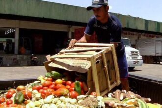 Pesquisa traz dicas sobre como reduzir desperdício de alimentos