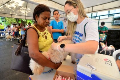 Prefeitura disponibilizará mais 3 mil doses de vacina V10 para cães a partir de quarta (21) – Secretaria de Comunicação