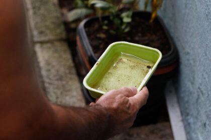 Professores de SP cobram medidas de combate à dengue nas escolas