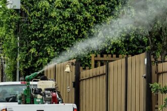 Rio de Janeiro confirma segunda morte por dengue