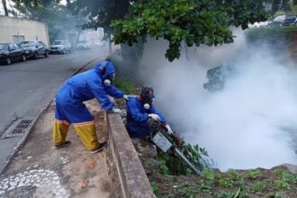 SMS prossegue ações contra dengue nos circuitos da folia nesta segunda (19) – Secretaria de Comunicação