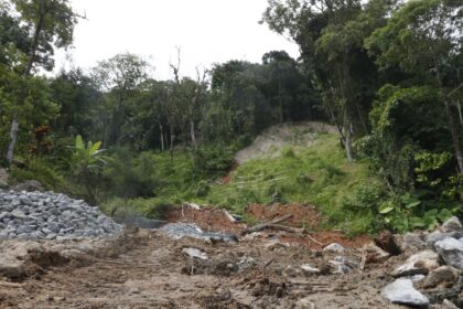 SP: chuva forte faz sirene de evacuação ser acionada em São Sebastião