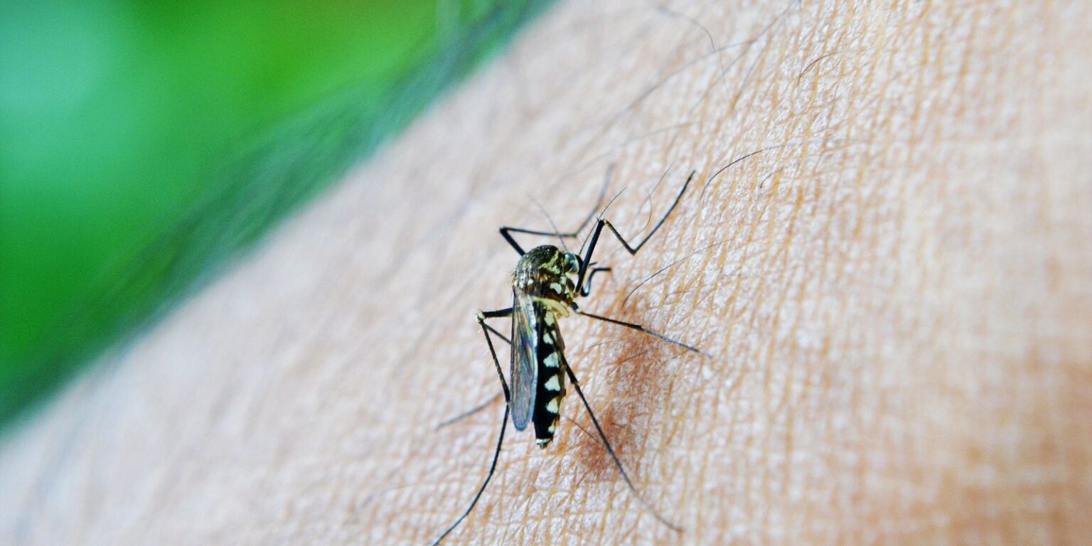 Epidemia de dengue faz Natal decretar emergência em saúde