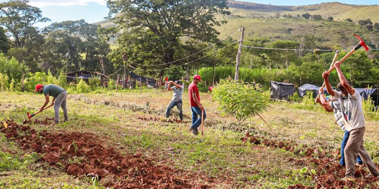 Justiça nega reintegração em fazenda ocupada pelo MST em Minas Gerais