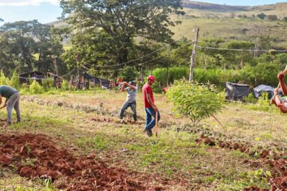 Justiça nega reintegração em fazenda ocupada pelo MST em Minas Gerais