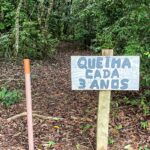 Laboratório a céu aberto permite pesquisas sobre queimadas