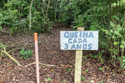 Laboratório a céu aberto permite pesquisas sobre queimadas