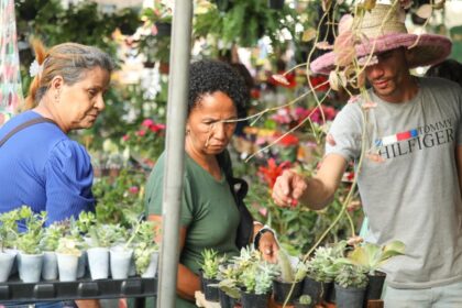 Prefeitura promove 1º Feira Agroecológica de Salvador nesta quinta (14) – Secretaria de Comunicação