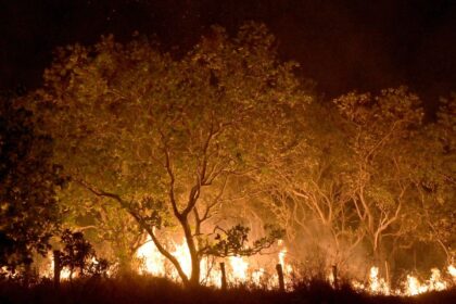 Roraima tem 45% do total de focos de queimadas do país em fevereiro