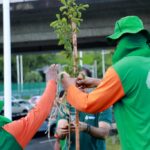 Cidadãos em Salvador poderão participar da Operação Plantio Chuva 2024 – Secretaria de Comunicação