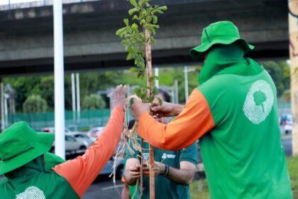 Cidadãos em Salvador poderão participar da Operação Plantio Chuva 2024 – Secretaria de Comunicação