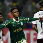 Palmeiras vence em casa para assumir do Grupo F da Libertadores