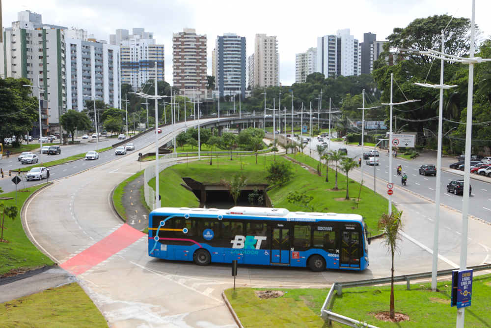 Prefeitura investe em paisagismo em estações e trajeto do BRT – Secretaria de Comunicação