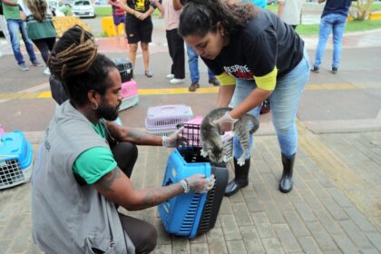 Salvador alerta para conscientização e combate aos maus-tratos de animais – Secretaria de Comunicação