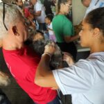 Secis realiza aplicação da vacina V10 de forma gratuita em Marechal Rondon – Secretaria de Comunicação