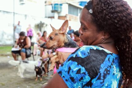 Castramóvel atende gratuitamente animais da região de Cajazeiras – Secretaria de Comunicação