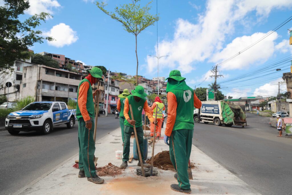 Prefeitura inicia plantio de 50 novas árvores na Avenida Suburbana – Secretaria de Comunicação