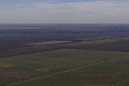 Em meio à expansão do desmatamento, Piauí debate nova lei ambiental