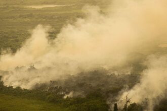 FAB faz quatro voos hoje para o Pantanal para combate às queimadas