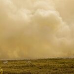 Queimada no Pantanal persiste mesmo após proibição de manejo do fogo