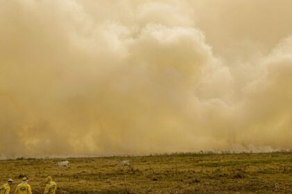 Queimada no Pantanal persiste mesmo após proibição de manejo do fogo