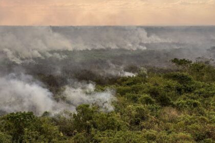 Pantanal poderá ter crise hídrica histórica em 2024, aponta estudo