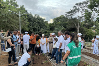 Primeira Horta Comercial de Salvador é instalada em Cassange – Secretaria de Comunicação