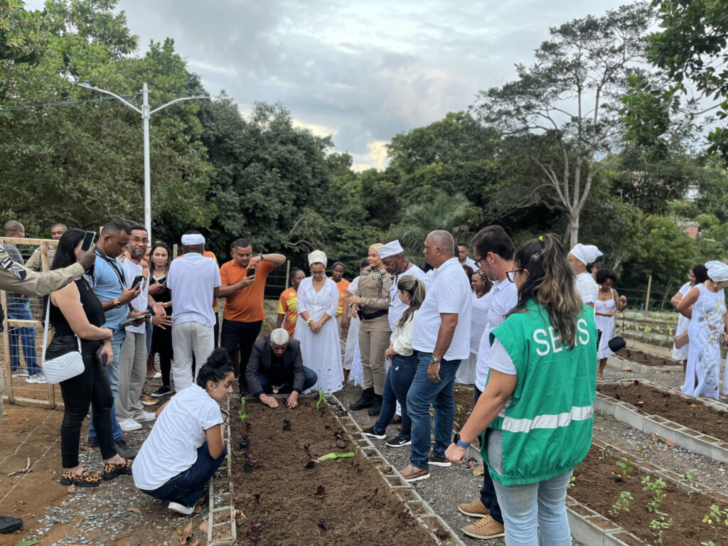 Primeira Horta Comercial de Salvador é instalada em Cassange – Secretaria de Comunicação