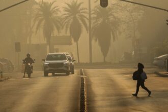 Ato em SP conclama para medidas de mitigação da emergência climática