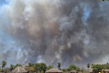 Indígenas de MT lutam por sobrevivência após um mês de queimadas