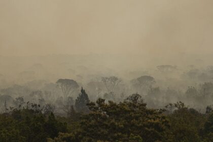 Parque de Brasília: fogo vira subterrâneo e pode voltar à superfície