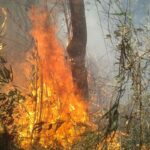 Rio: Justiça transforma em preventiva prisão de acusado de incêndio