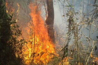 Rio: Justiça transforma em preventiva prisão de acusado de incêndio