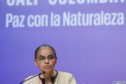 Na COP16, Marina Silva defende fundo para remunerar povos tradicionais