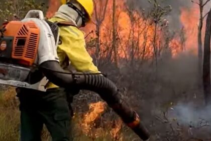 Caminhos da Reportagem conquista Prêmio ARI Banrisul de Jornalismo