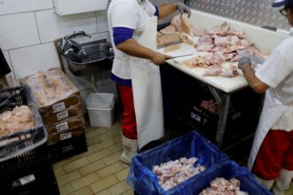 Prazo de 28 dias para Brasil ficar livre da gripe aviária começa hoje