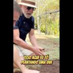 Em vídeo a Trump, Lula planta uva e diz semear comida e não ódio