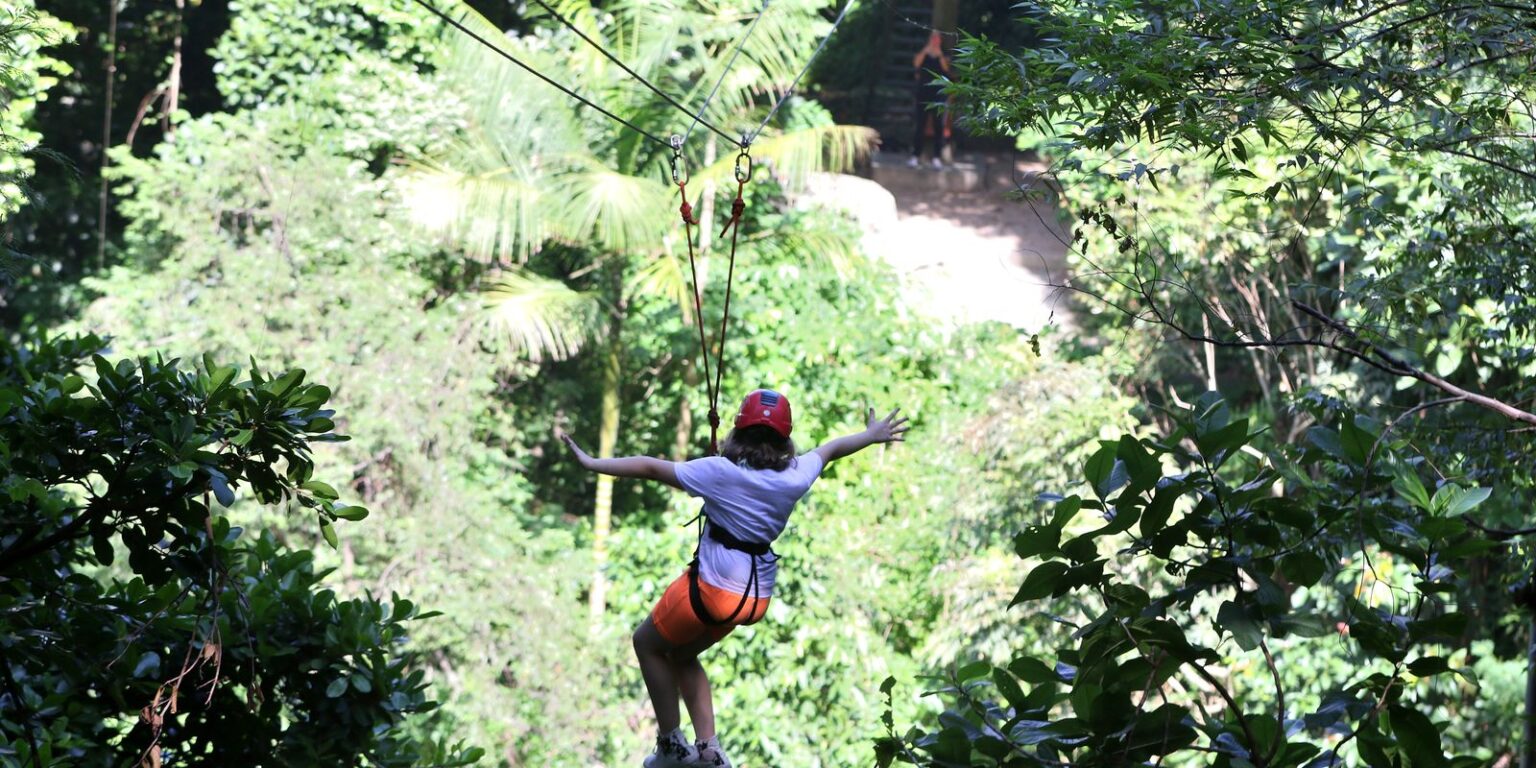 Gestores aprovam modelo de concessão de parques naturais e urbanos